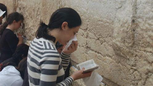 娱乐圈吃瓜猪头